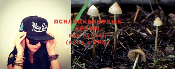 spice Алексин
