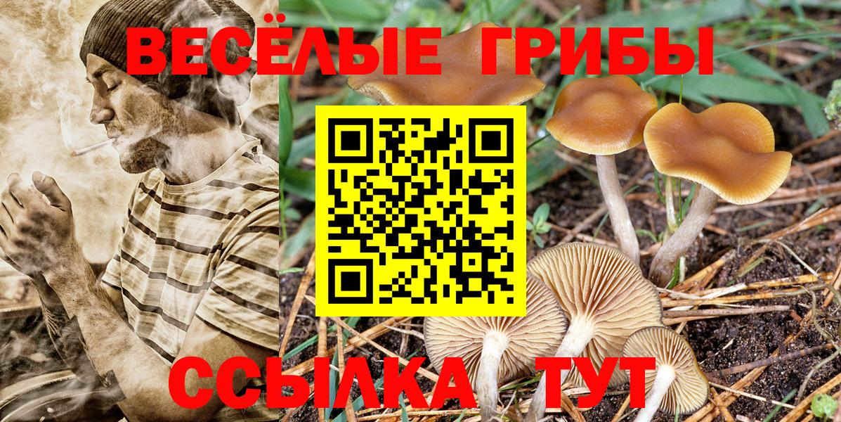 Амурск  Псилоцибиновые грибы прущие грибы  Вход с VPN 