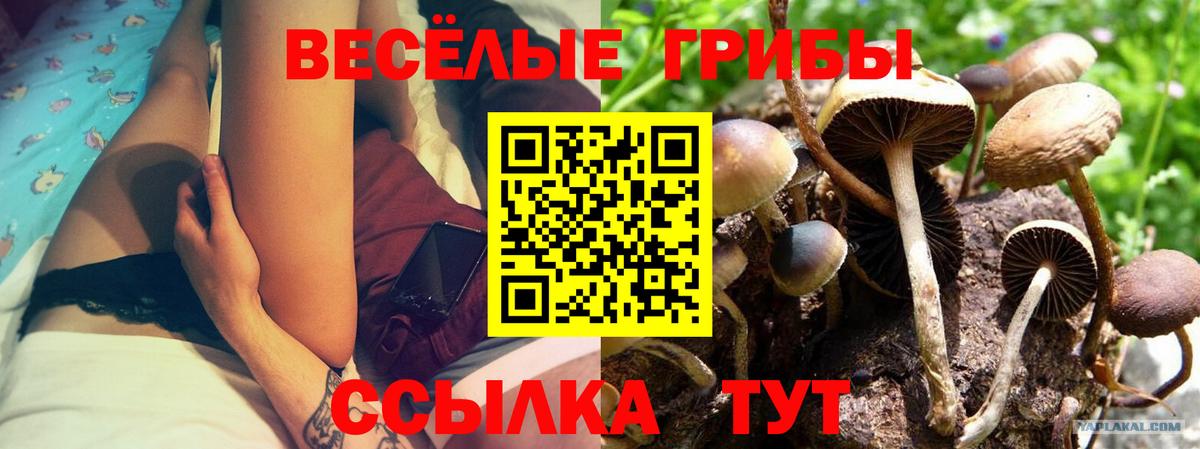 Псилоцибиновые грибы MAGIC MUSHROOMS Амурск